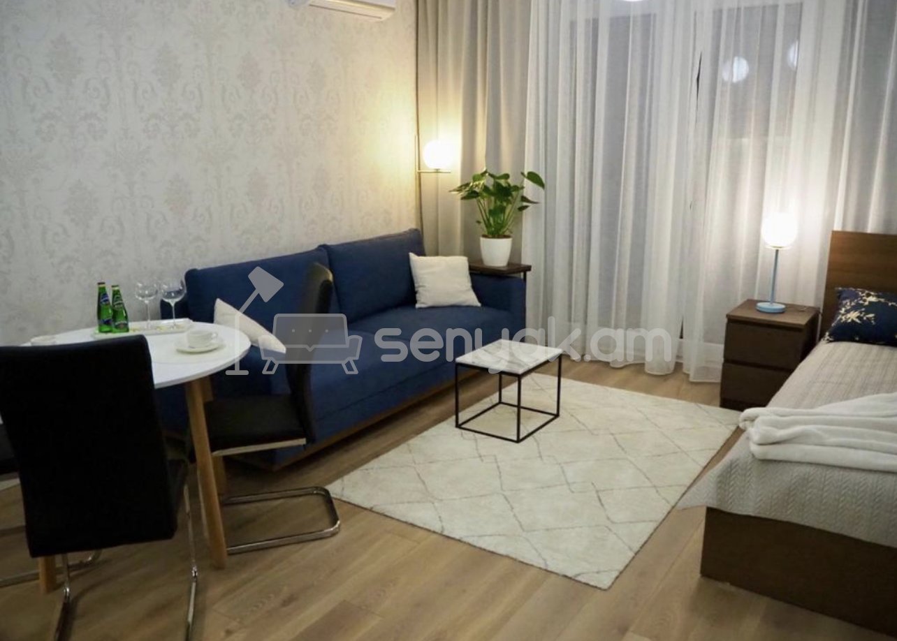 1 Սենյականոց Բնակարան, 40քմ, 4/4 հարկ, Կապիտալ Վերանորոգված