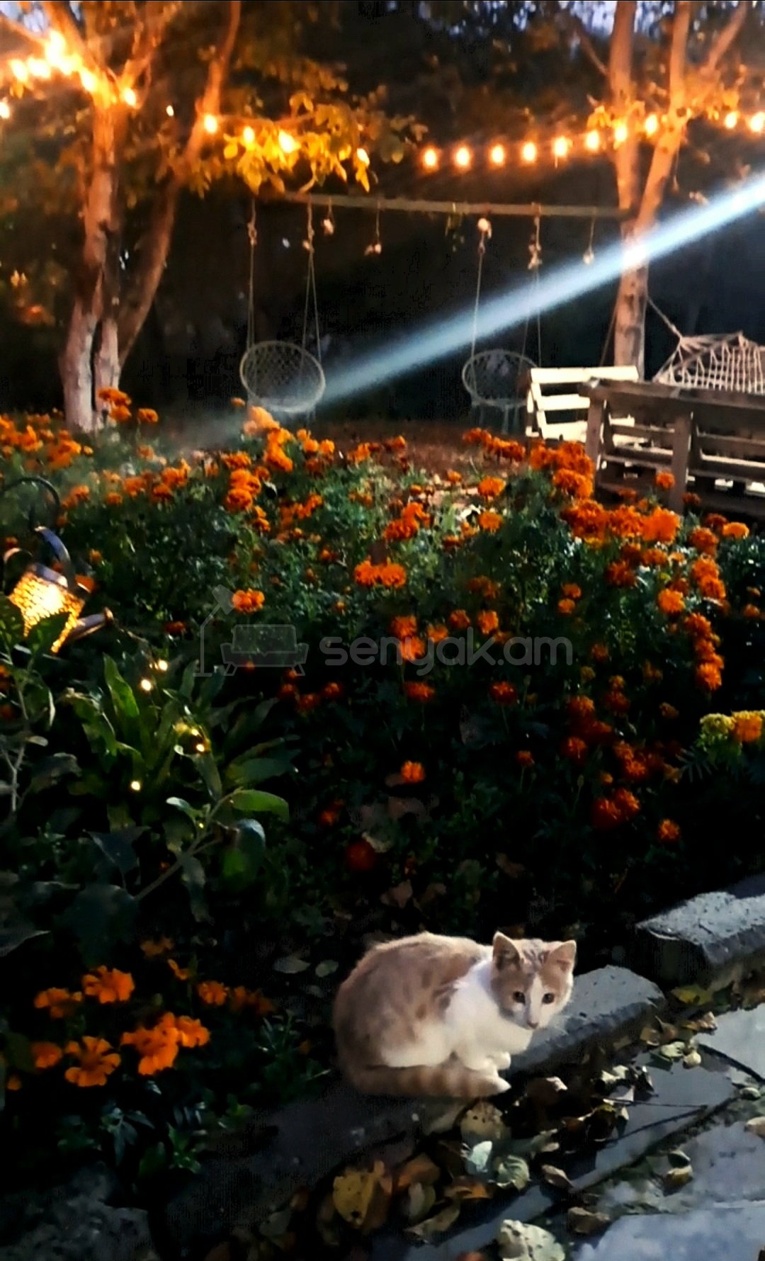 3 Սենյականոց Սեփական Տուն, 70քմ, Կոսմետիկ Վերանորոգված