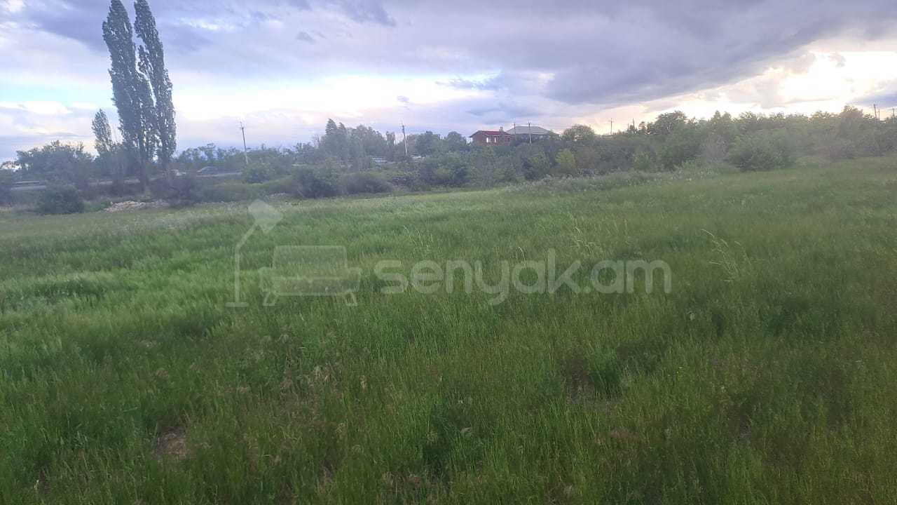 Հողատարածք, 3700քմ, Ոռոգման Ջրով, Էլեկտրականությամբ