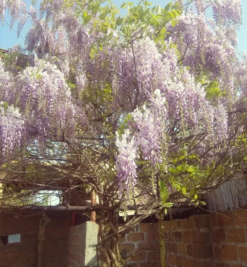 5 Սենյականոց Սեփական Տուն, 150քմ, Նորմալ Վիճակում, Ավտոտնակով