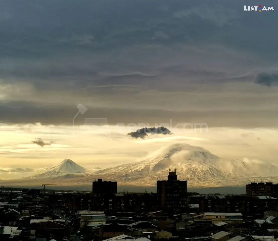 3 Սենյականոց Բնակարան, 78քմ, 8/9 հարկ, Նորմալ Վիճակում