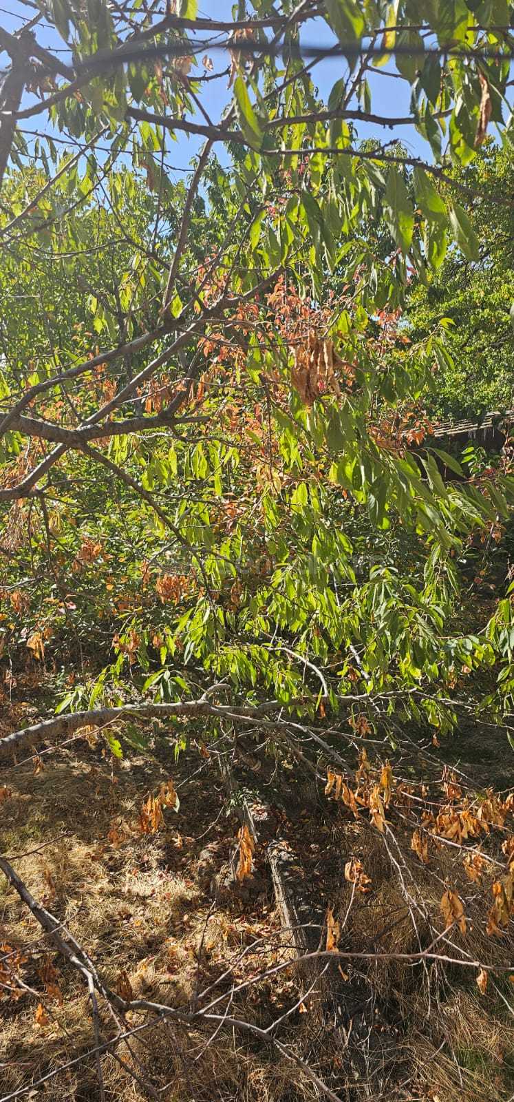 5 Սենյականոց Սեփական Տուն, 100քմ, Կոսմետիկ Վերանորոգված