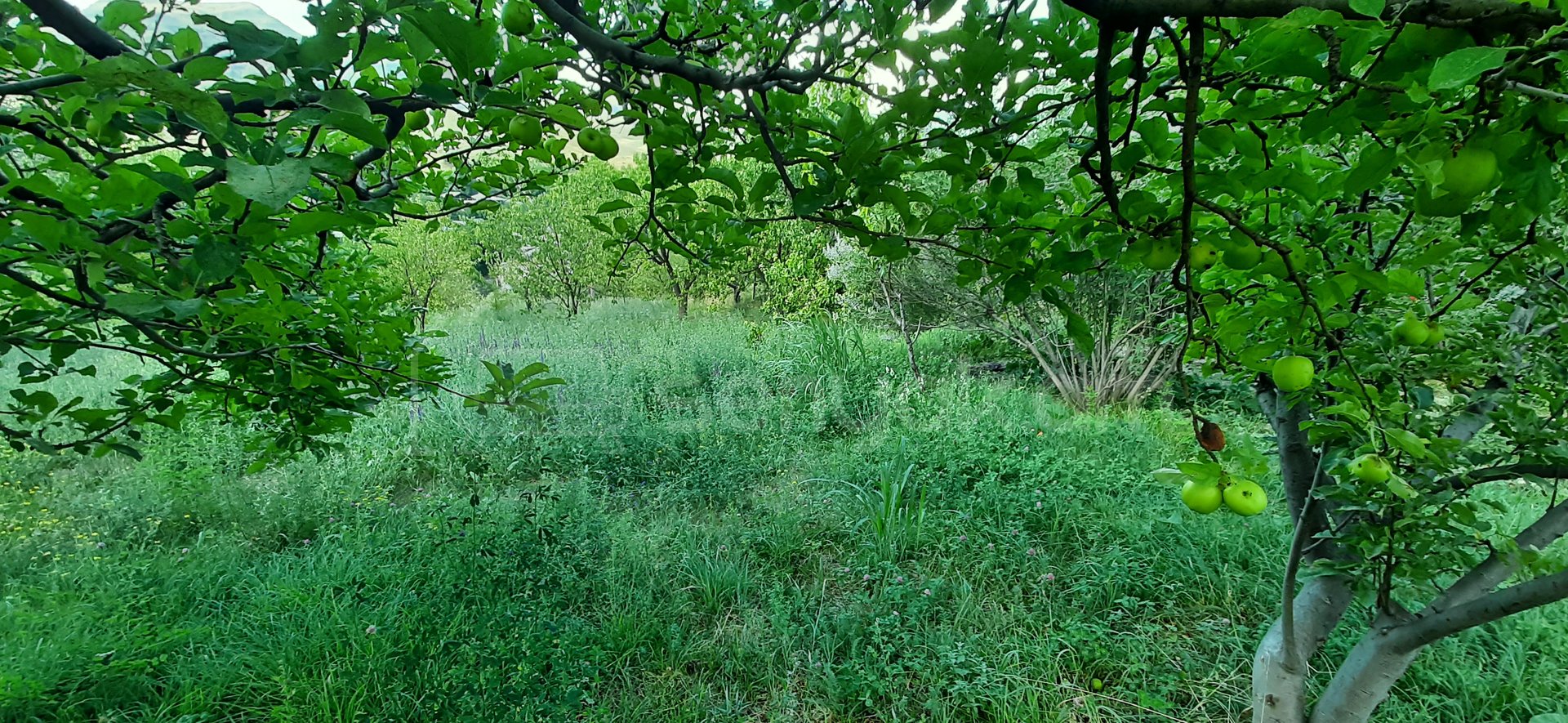 4 Սենյականոց Սեփական Տուն, 110քմ, Կոսմետիկ Վերանորոգված