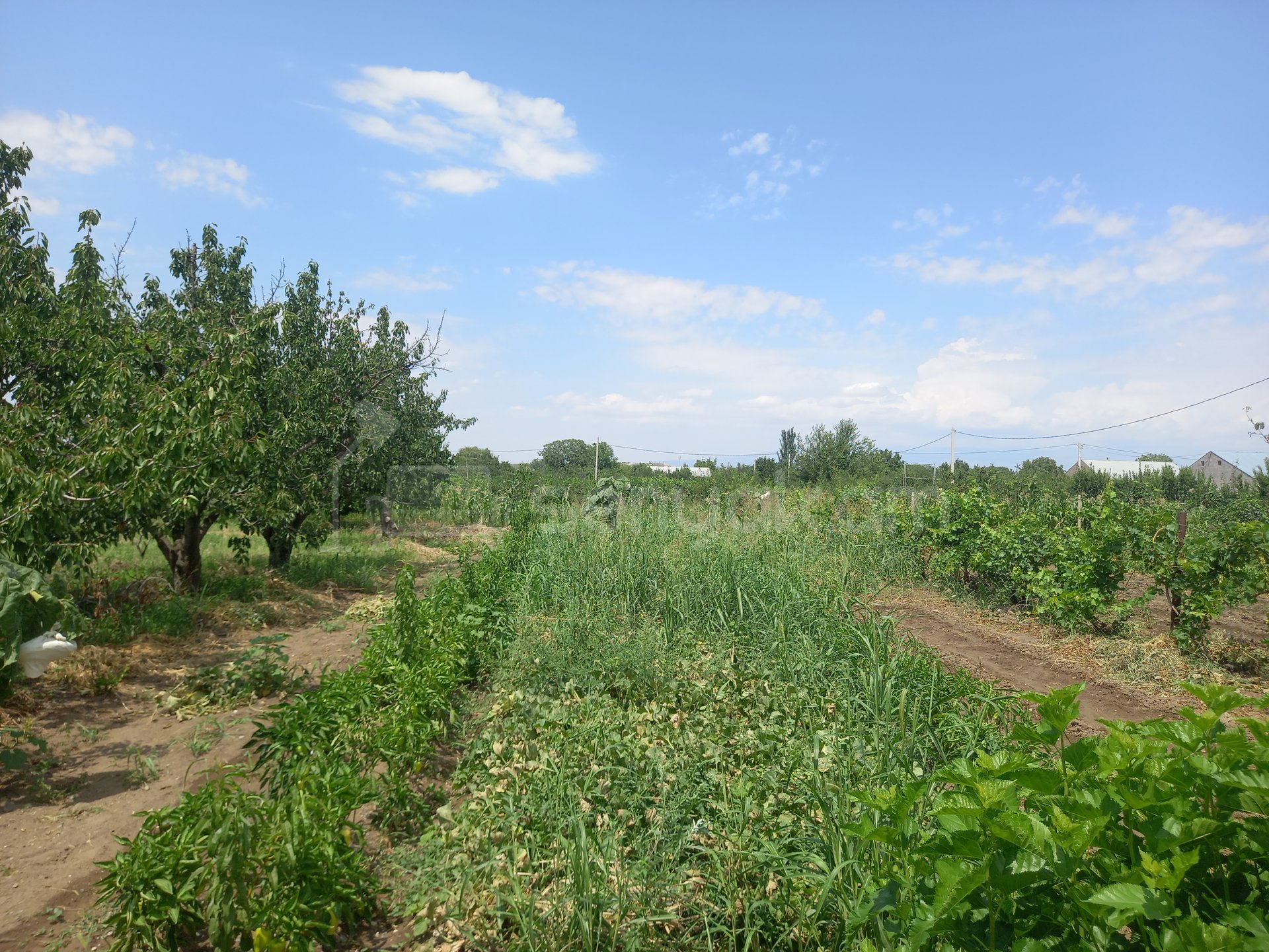 5 Սենյականոց Սեփական Տուն, 146քմ, Նորմալ Վիճակում