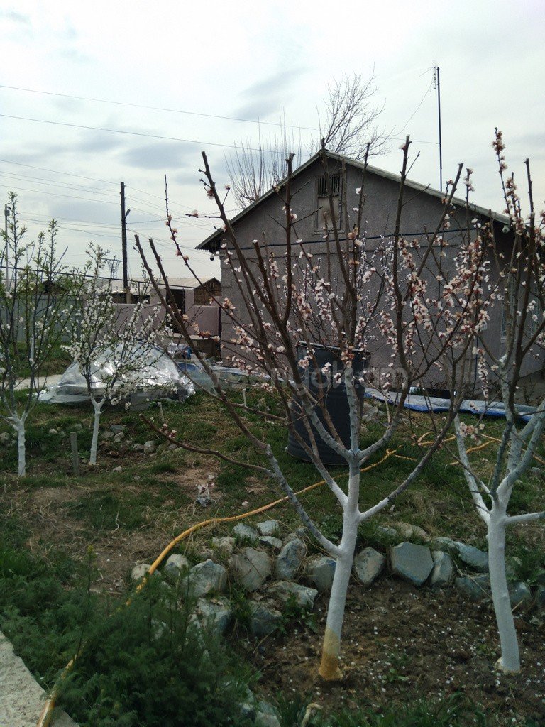 Ազատ նախագծով Սեփական Տուն, 38քմ, Կապիտալ Վերանորոգված