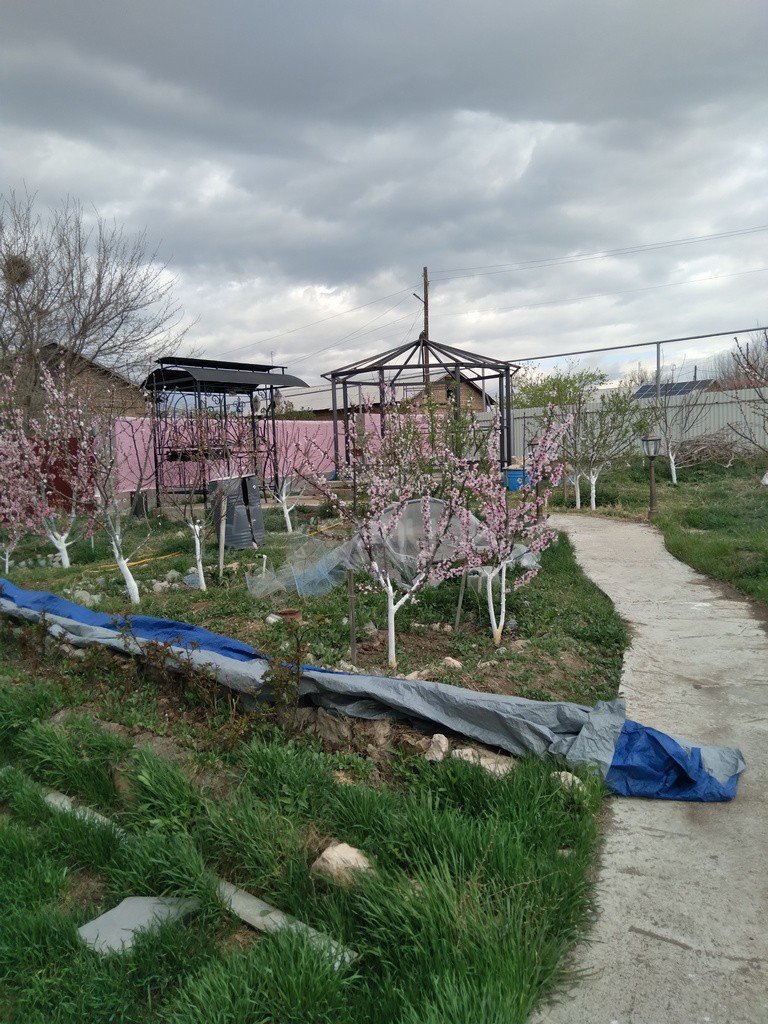 Ազատ նախագծով Սեփական Տուն, 38քմ, Կապիտալ Վերանորոգված