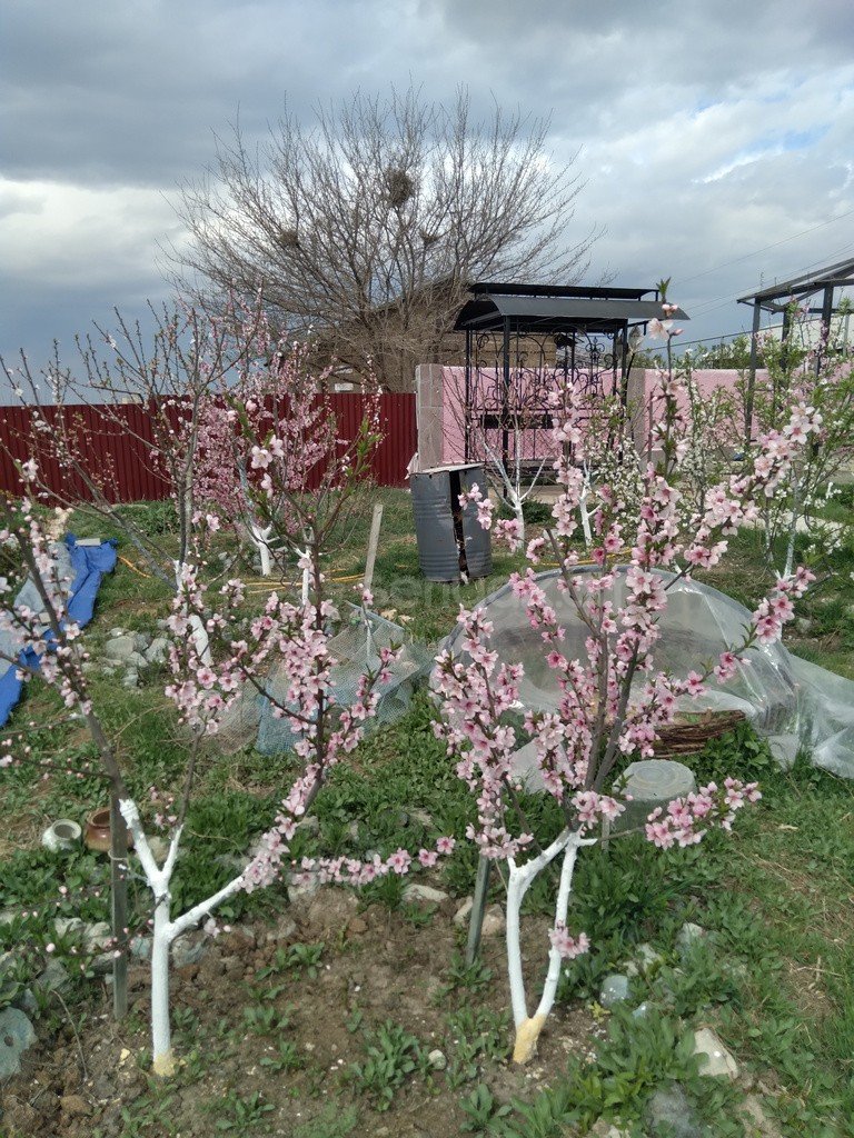 Ազատ նախագծով Սեփական Տուն, 38քմ, Կապիտալ Վերանորոգված