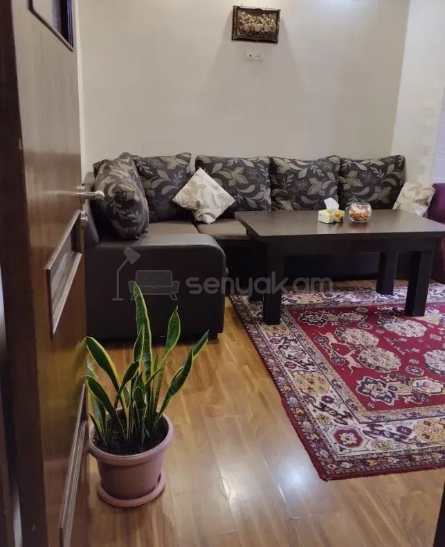 2 Սենյականոց Բնակարան, 54քմ, 1/9 հարկ, Կապիտալ Վերանորոգված