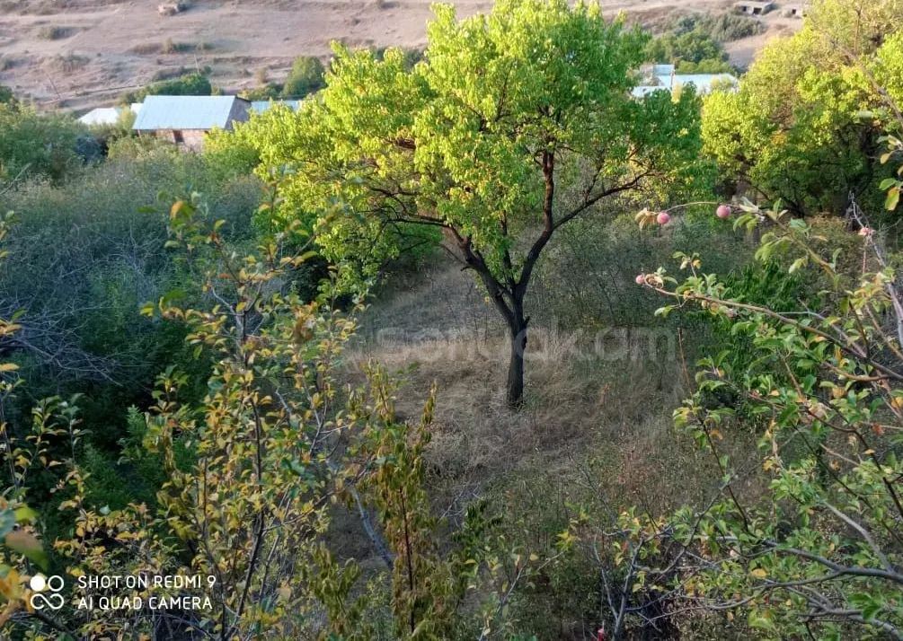 8 Սենյականոց Ամառանոց, 270քմ, Ավտոտնակով