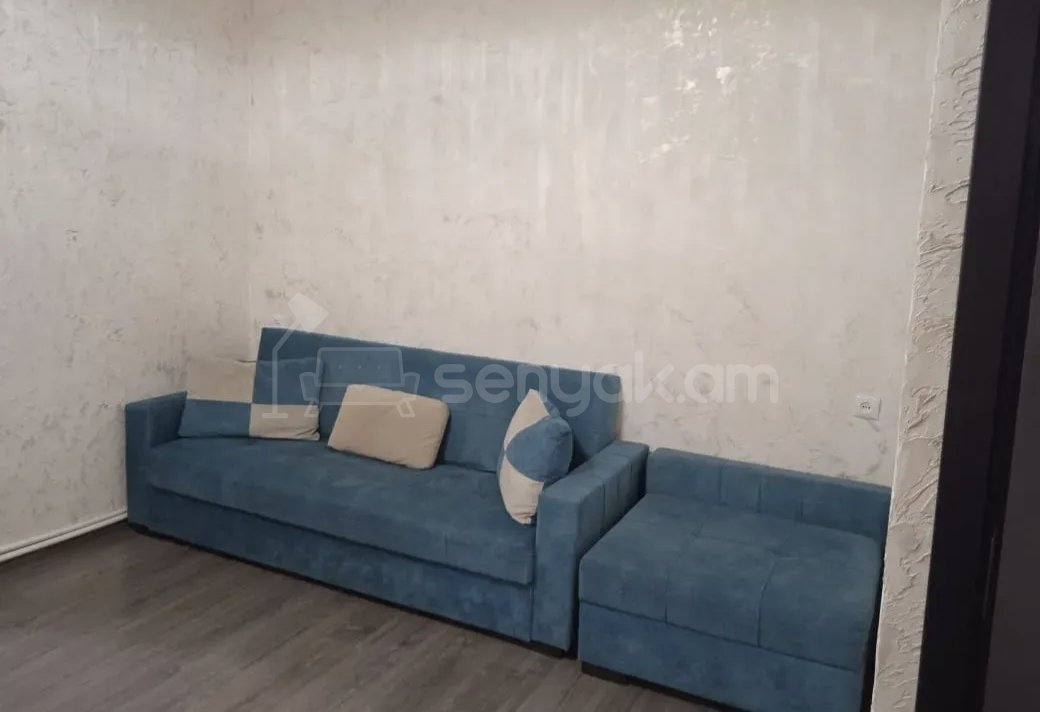 1 Սենյականոց Բնակարան Քարե Շենքում, 45քմ, 3/5 հարկ, Կապիտալ Վերանորոգված, Կահավորված, Արևկող