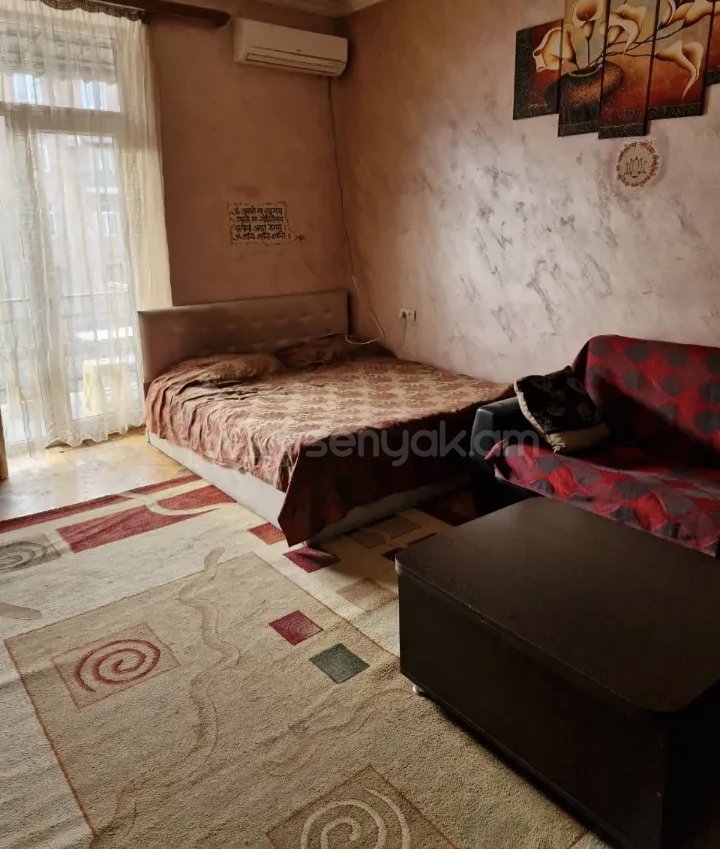 1 Սենյականոց Բնակարան Քարե Շենքում, 46քմ, 2/4 հարկ, Կապիտալ Վերանորոգված, Կահավորված