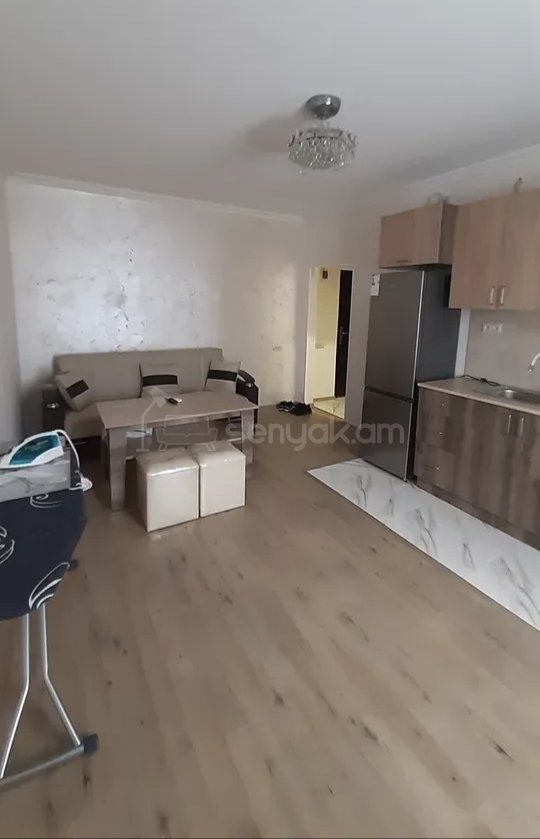 2 Սենյականոց Բնակարան Քարե Շենքում, 42քմ, 3/5 հարկ, Կապիտալ Վերանորոգված, Կահավորված
