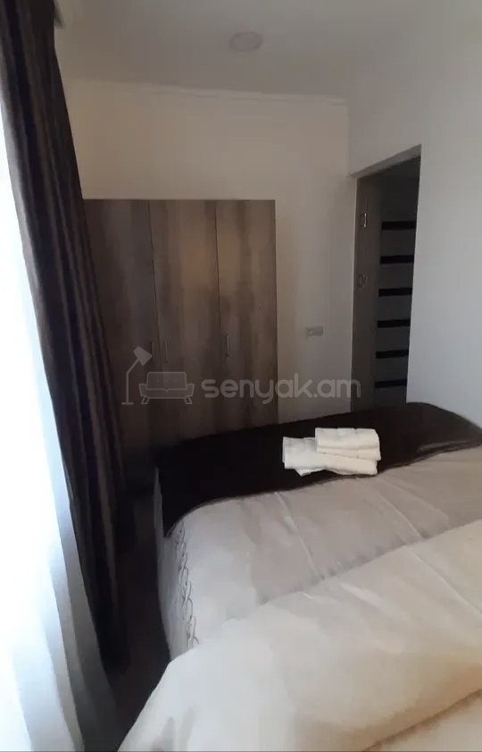 2 Սենյականոց Բնակարան Քարե Շենքում, 42քմ, 3/5 հարկ, Կապիտալ Վերանորոգված, Կահավորված
