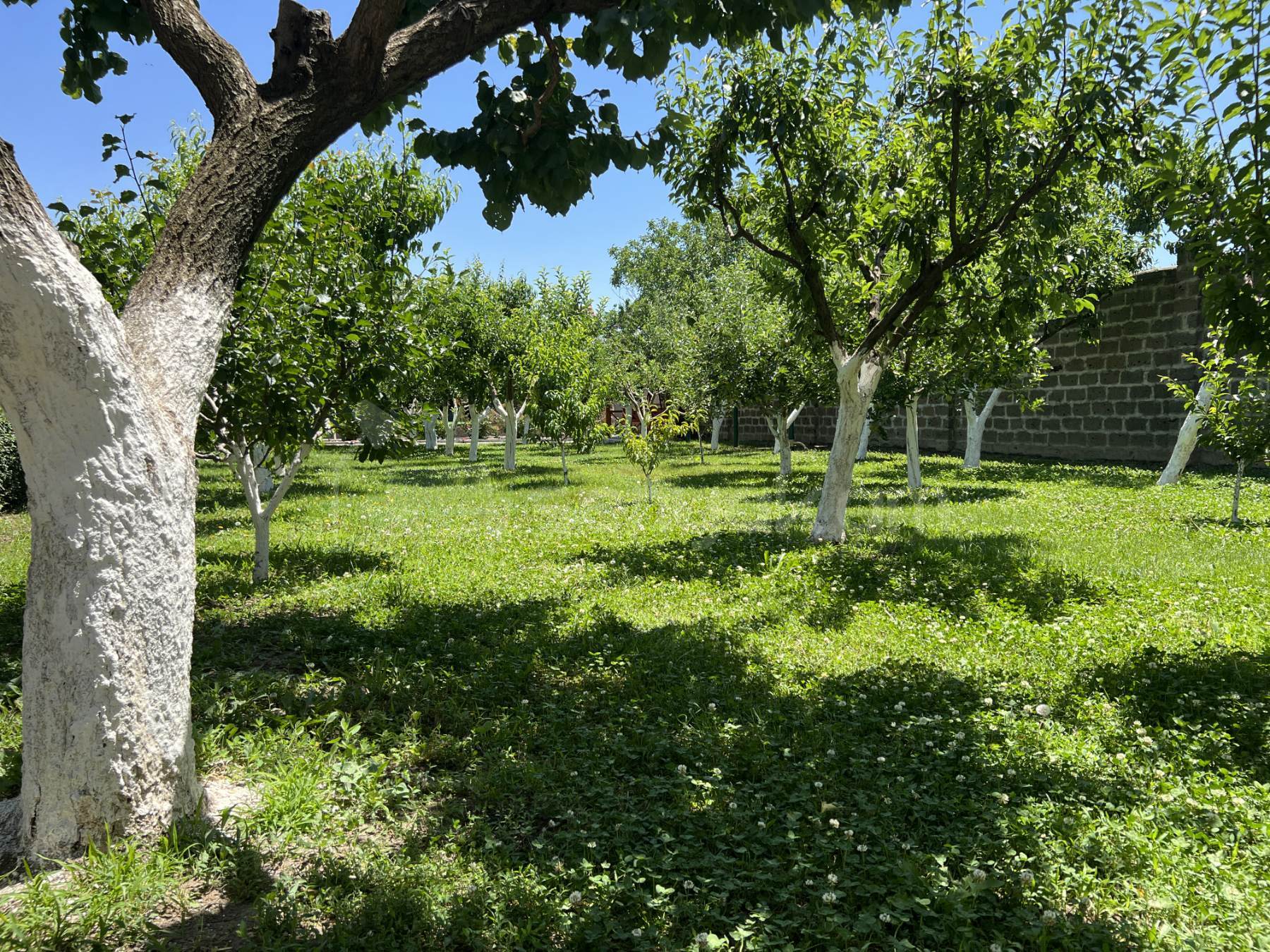 3 Սենյականոց Նորակառույց Ամառանոց, 1700քմ, Լողավազանով