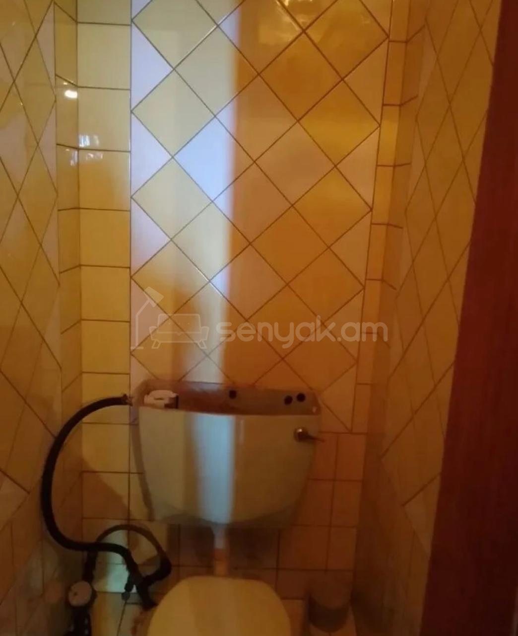 2 Սենյականոց Բնակարան, 67քմ, 11/14 հարկ, Կոսմետիկ Վերանորոգված