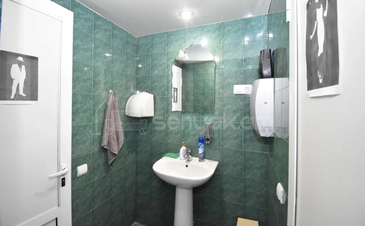 Օֆիսային Տարածք, 250քմ, Կապիտալ Վերանորոգված