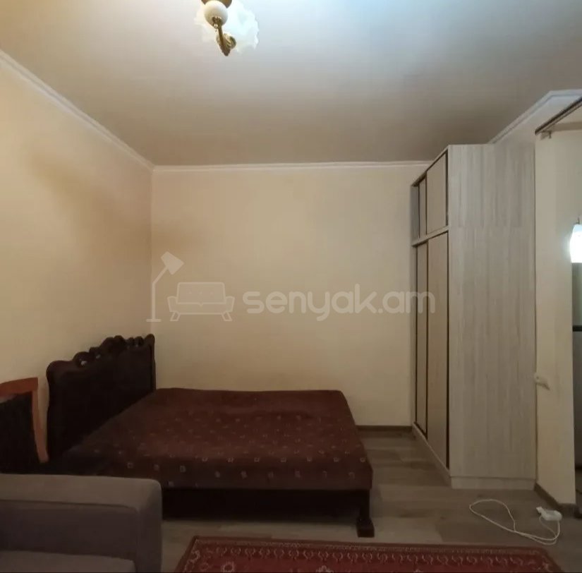 1 Սենյականոց Բնակարան Քարե Շենքում, 42քմ, 5/5 հարկ, Նորմալ Վիճակում, Կահավորված