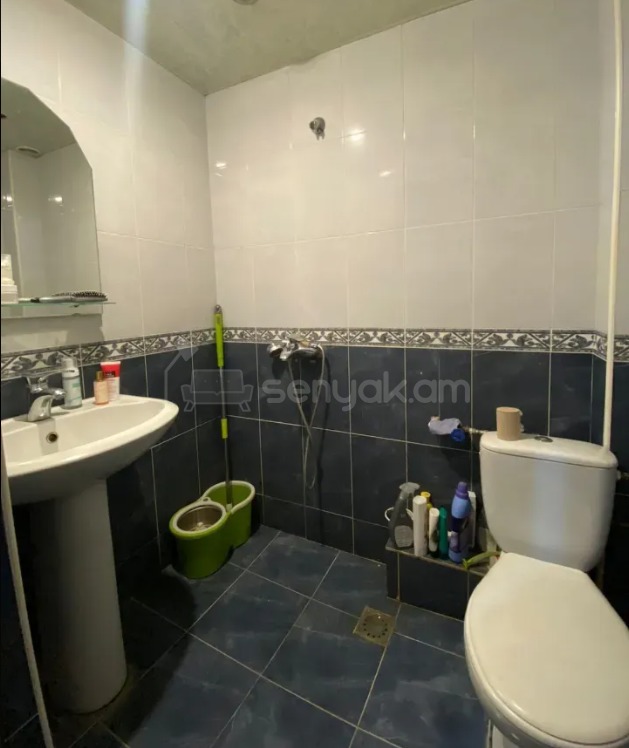 1 Սենյականոց Բնակարան Քարե Շենքում, 43քմ, 5/6 հարկ, Կոսմետիկ Վերանորոգված