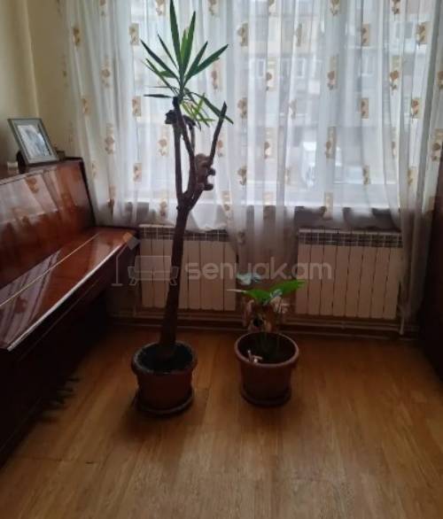 2 Սենյականոց Բնակարան Քարե Շենքում, 56քմ, 2/5 հարկ, Կապիտալ Վերանորոգված, Կահավորված