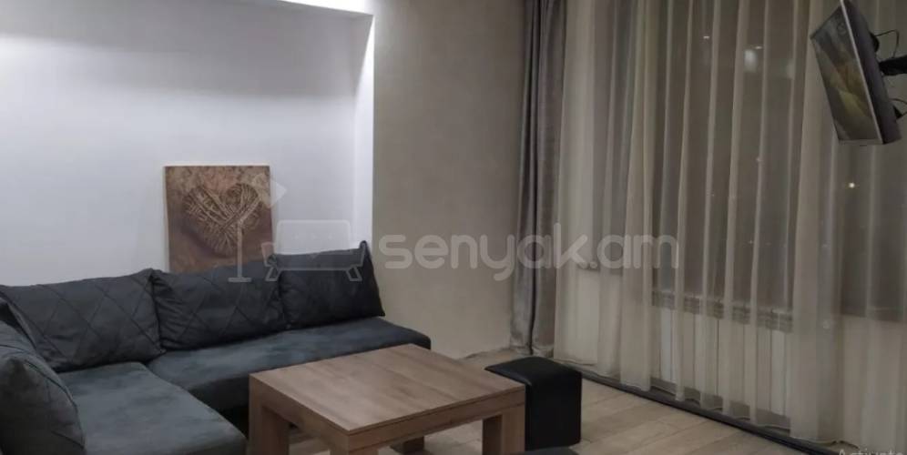2 Սենյականոց Բնակարան Քարե Շենքում, 45քմ, 4/9 հարկ, Կապիտալ Վերանորոգված, Կահավորված