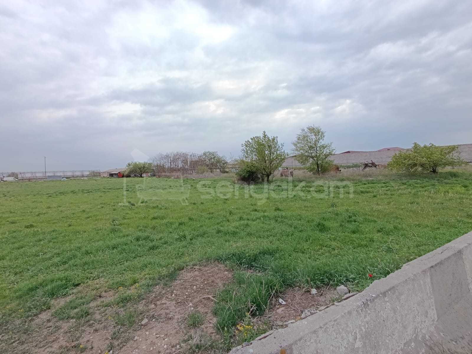Բնակելի Նշանակության Հողատարածք, 11500քմ