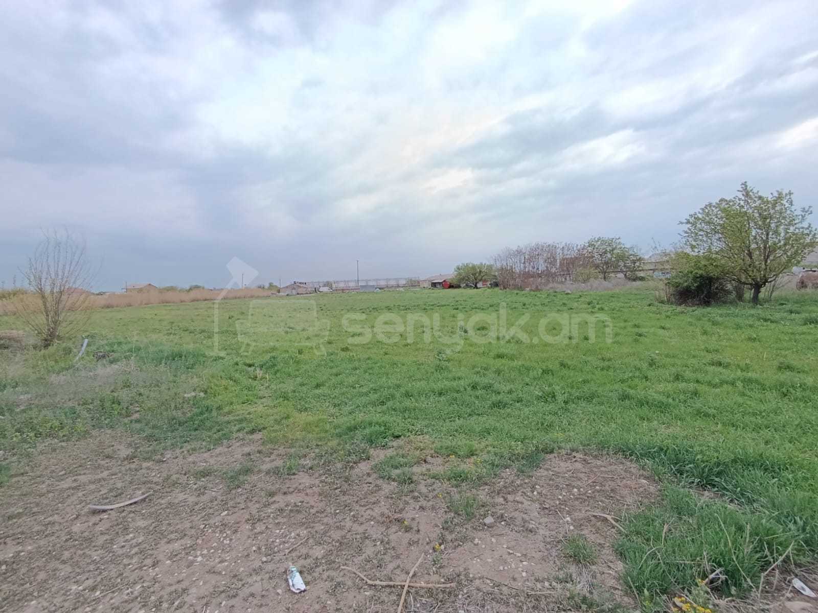 Բնակելի Նշանակության Հողատարածք, 11500քմ