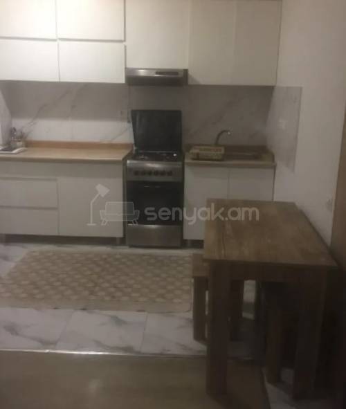 2 Սենյականոց Բնակարան, 40քմ, 1/4 հարկ, Կապիտալ Վերանորոգված, Կահավորված