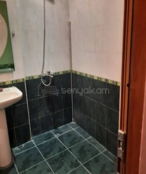 3 Սենյականոց Բնակարան, 67քմ, 4/9 հարկ, Կապիտալ Վերանորոգված, Կահավորված