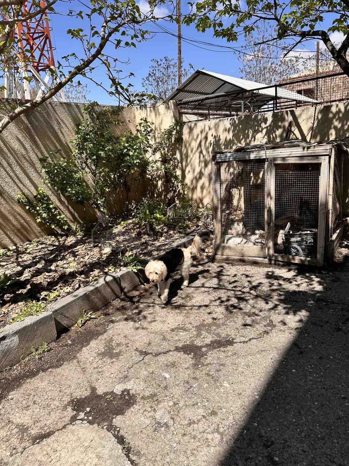 3 Սենյականոց Սեփական Տուն, 380քմ, Նորմալ Վիճակում, Ավտոտնակով