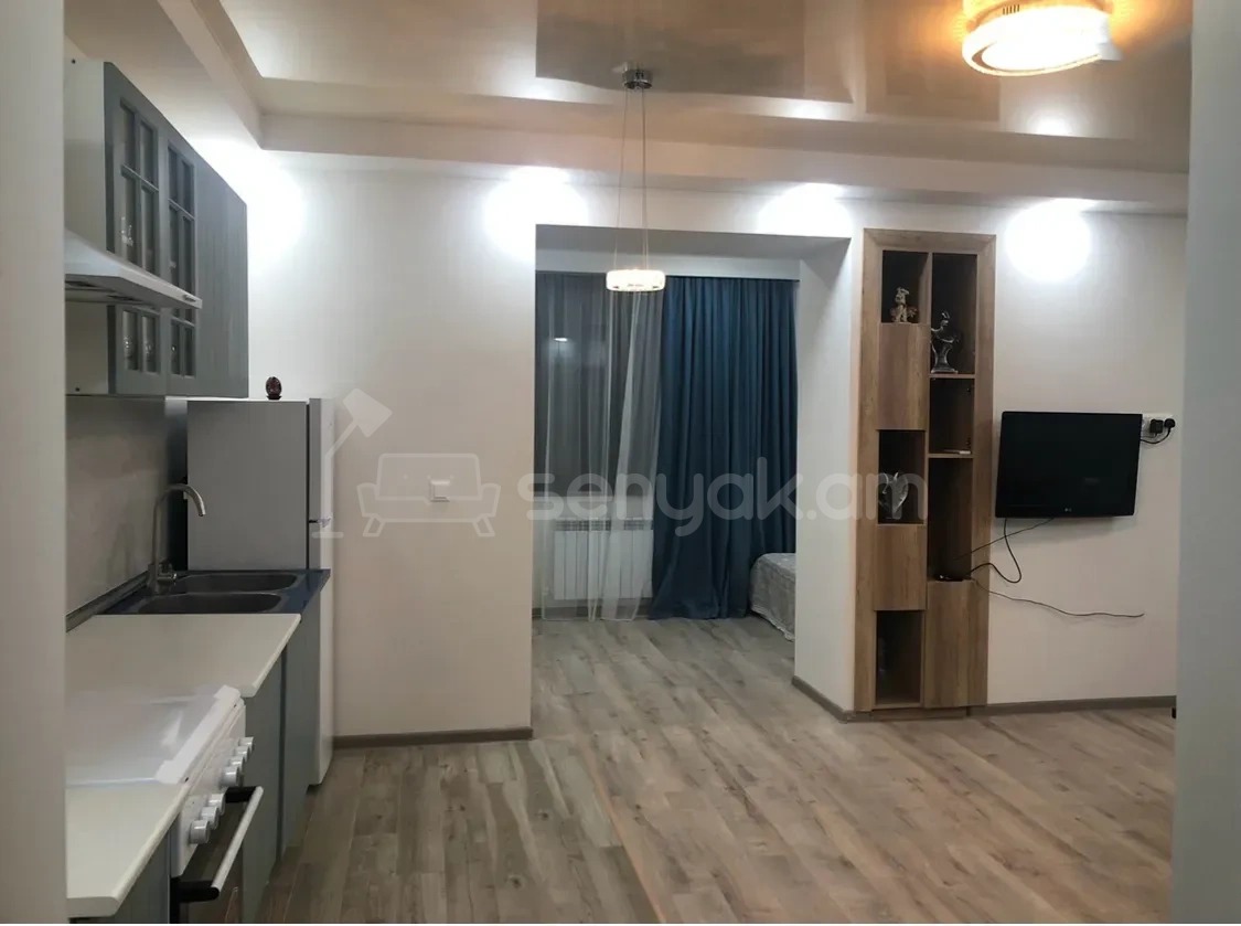 2 Սենյականոց Բնակարան Քարե Շենքում, 40քմ, 2/5 հարկ, Կապիտալ Վերանորոգված, Կահավորված