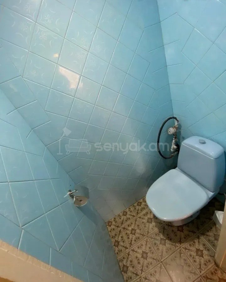 3 Սենյականոց Բնակարան, 67քմ, 4/9 հարկ, Կապիտալ Վերանորոգված