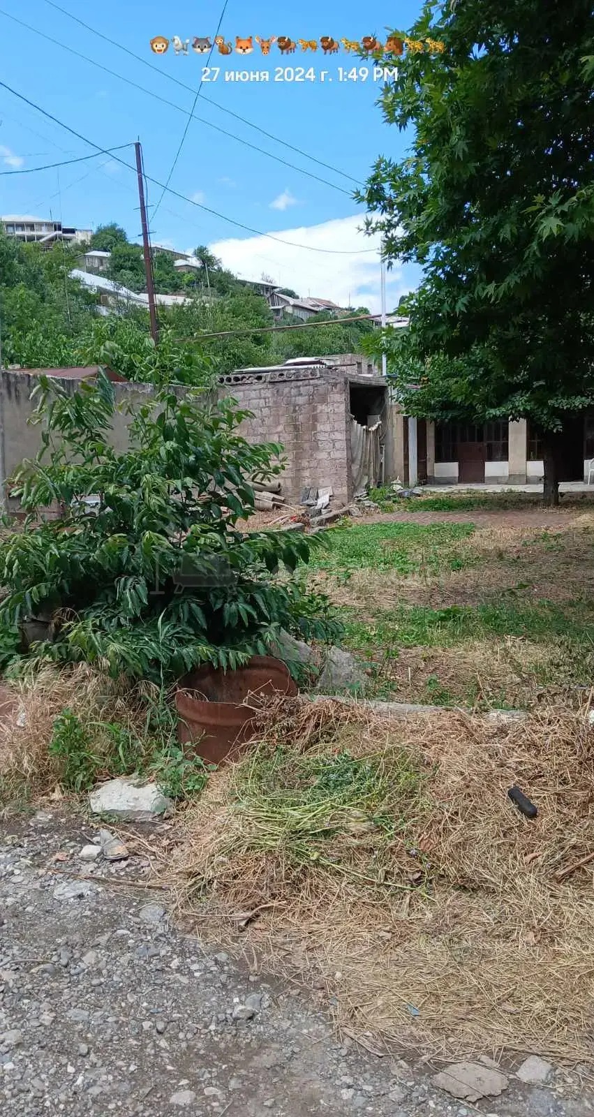 Կոմերցիոն Տարածք, 1000քմ