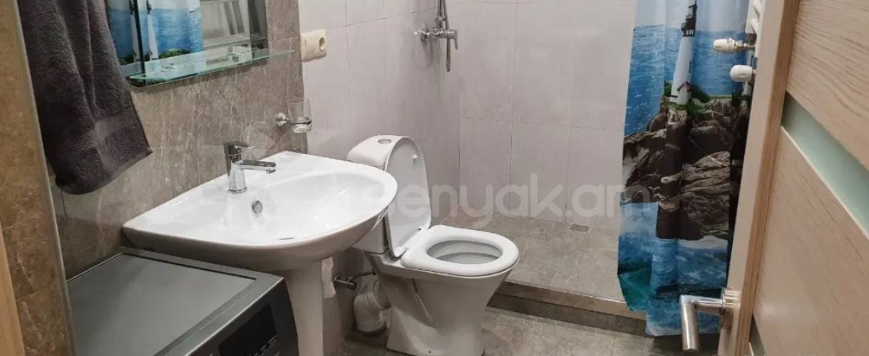 3 Սենյականոց Բնակարան, 50քմ, 8/9 հարկ, Կապիտալ Վերանորոգված, Կահավորված