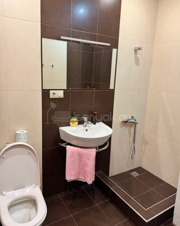1 Սենյականոց Բնակարան Քարե Շենքում, 49քմ, 1/5 հարկ, Կապիտալ Վերանորոգված, Կահավորված, Արևկող
