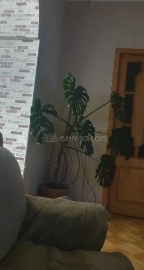 5 Սենյականոց Բնակարան Քարե Շենքում, 84քմ, 3/5 հարկ, Կոսմետիկ Վերանորոգված