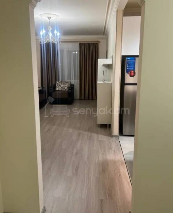 2 Սենյականոց Բնակարան, 46քմ, 1/8 հարկ, Կապիտալ Վերանորոգված, Կահավորված, Արևկող