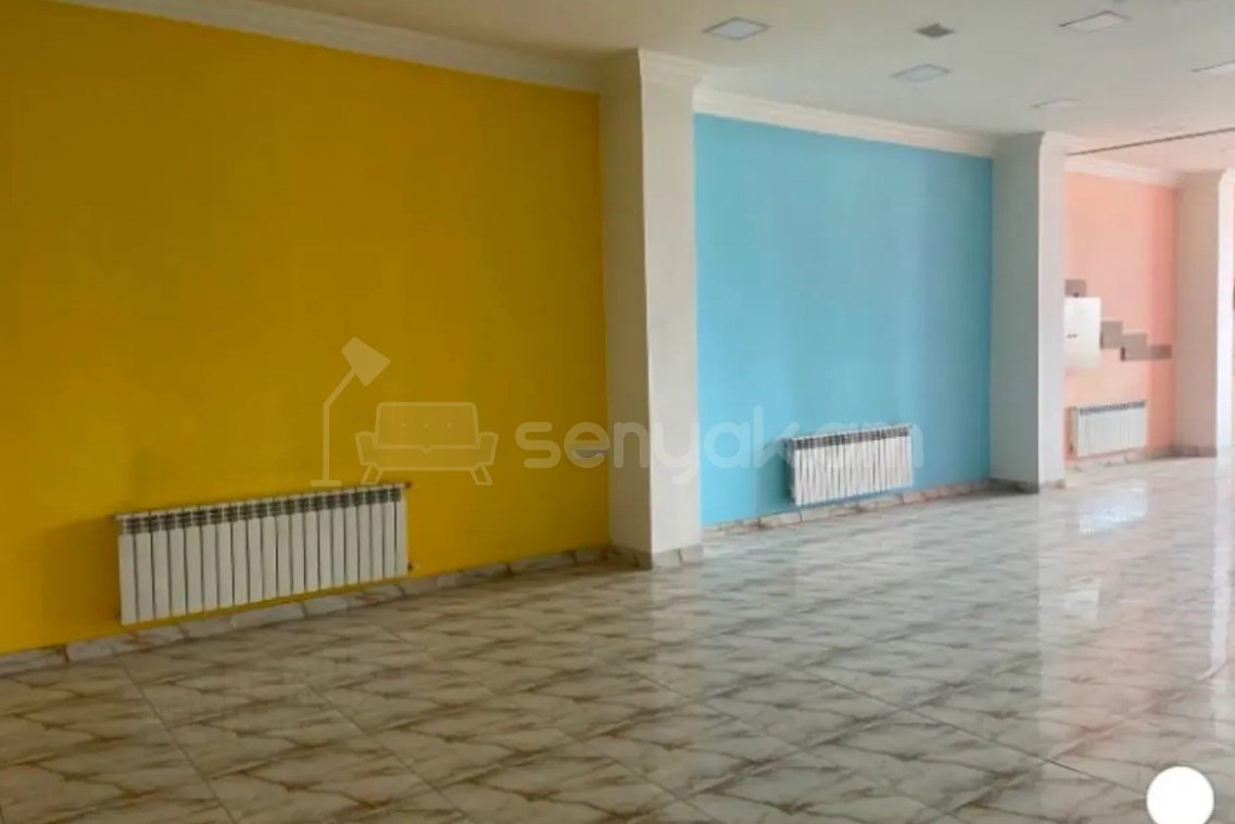 Առևտրի Տարածք, 250քմ, Կապիտալ Վերանորոգված
