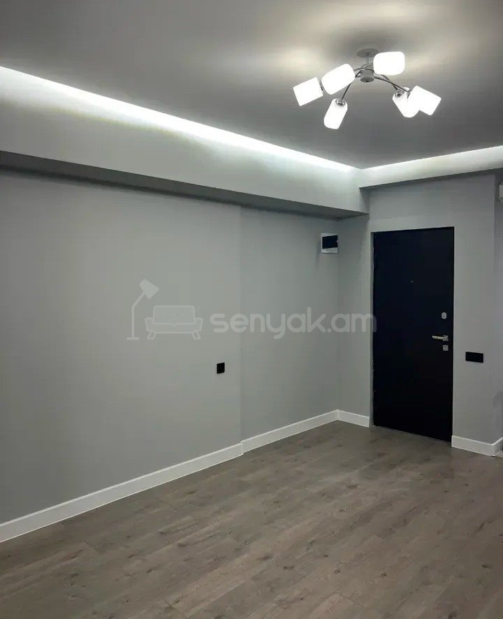 2 Սենյականոց Բնակարան, 43քմ, 1/9 հարկ, Դիզայներական Վերանորոգված