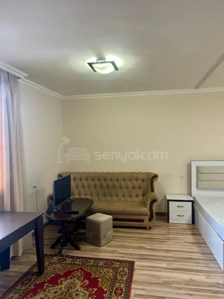 1 Սենյականոց Բնակարան, 47քմ, 9/16 հարկ, Կապիտալ Վերանորոգված