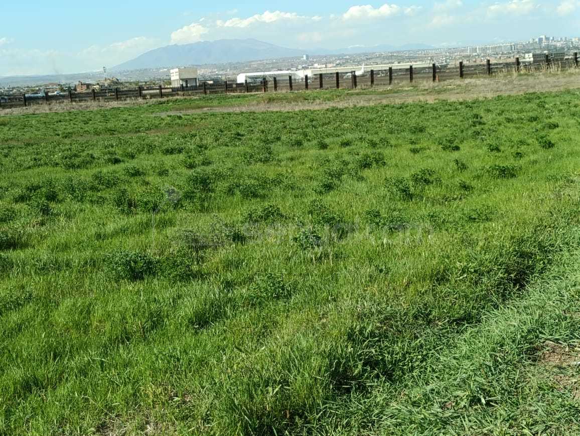 Հողամաս, 1200քմ