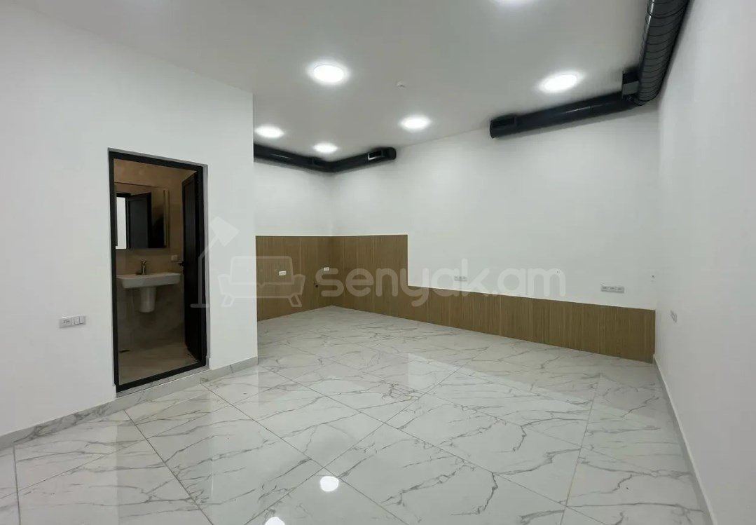 Օֆիսային Տարածք, 60քմ, Կապիտալ Վերանորոգված