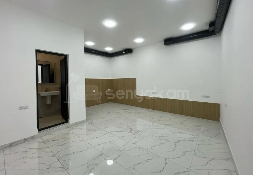 Օֆիսային Տարածք, 60քմ, Կապիտալ Վերանորոգված