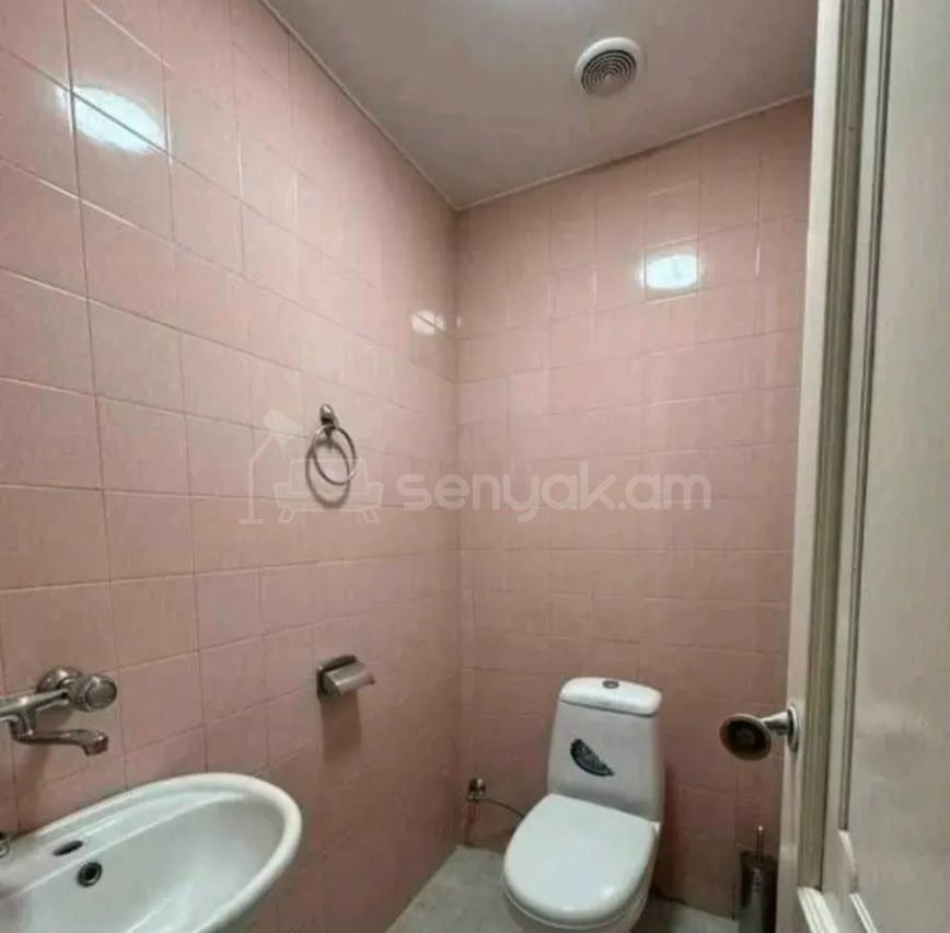 3 Սենյականոց Բնակարան Քարե Շենքում, 120քմ, 5/5 հարկ, Կապիտալ Վերանորոգված, Կահավորված