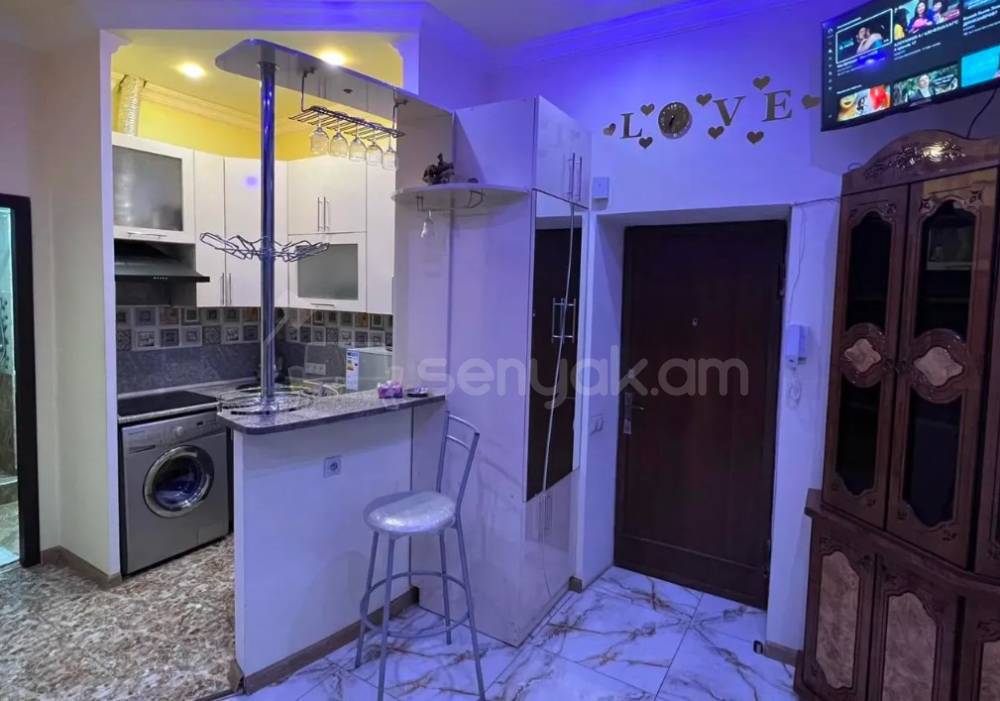2 Սենյականոց Բնակարան Քարե Շենքում, 32քմ, 4/4 հարկ, Դիզայներական Վերանորոգված, Կահավորված, Արևկող