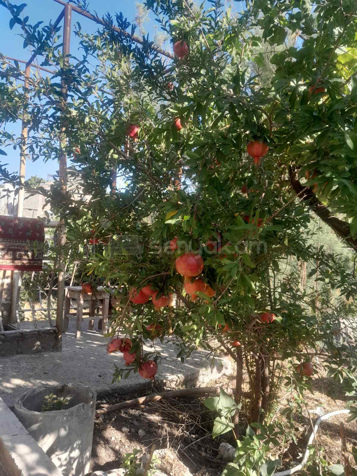 3 Սենյականոց Սեփական Տուն, 212քմ, Նորմալ Վիճակում