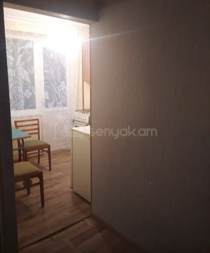 1 Սենյականոց Բնակարան Քարե Շենքում, 44քմ, 3/5 հարկ, Նորմալ Վիճակում, Կահավորված