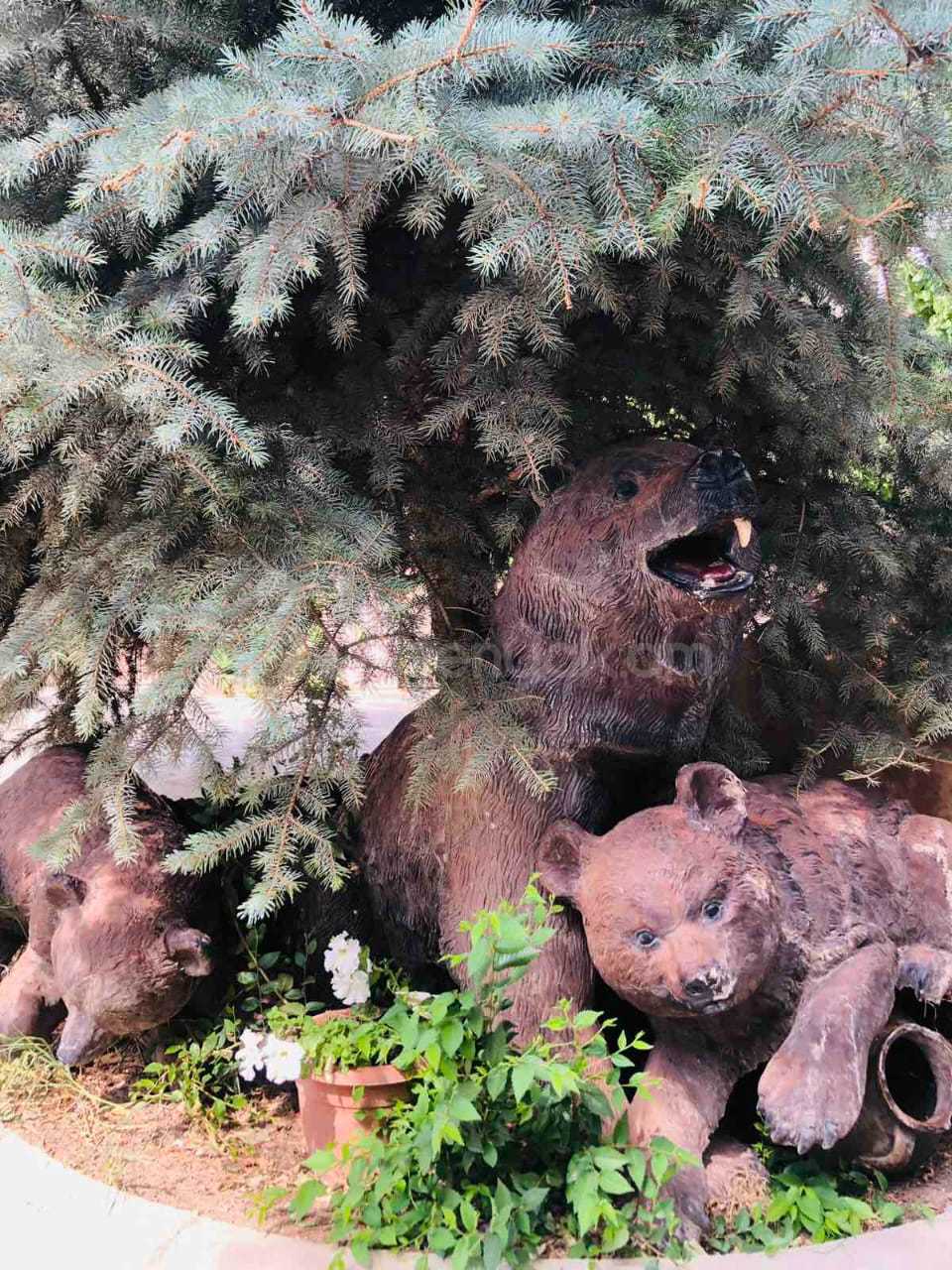 1 Սենյականոց Ամառանոց, 100քմ, Լողավազանով