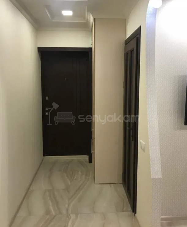 2 Սենյականոց Բնակարան Քարե Շենքում, 47քմ, 2/5 հարկ, Դիզայներական Վերանորոգված, Կահավորված, Արևկող