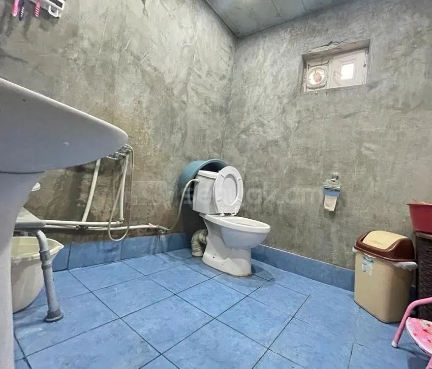 6 Սենյականոց Սեփական Տուն, 300քմ, Ավտոտնակով