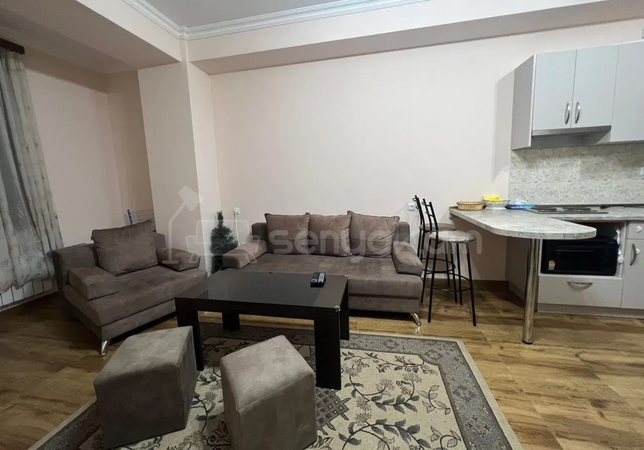 2 Սենյականոց Բնակարան Նորակառույցում, 45քմ, 2/10 հարկ, Կապիտալ Վերանորոգված, Կահավորված, Արևկող
